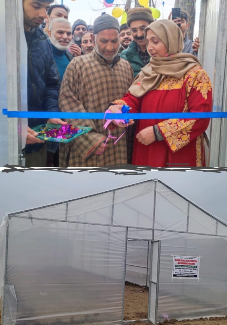 Director Agriculture inaugurates 02 ‘low cost polygreen houses’ at Chadoora Budgam  Under HADP, promotion of vertical expansion in vegetable cultivation  given a special focus: Iqbal